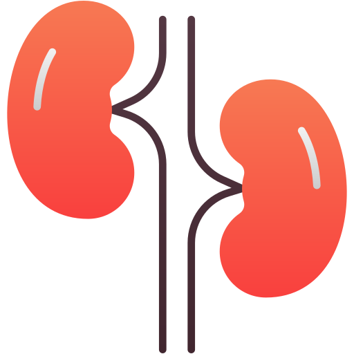 Kidneys